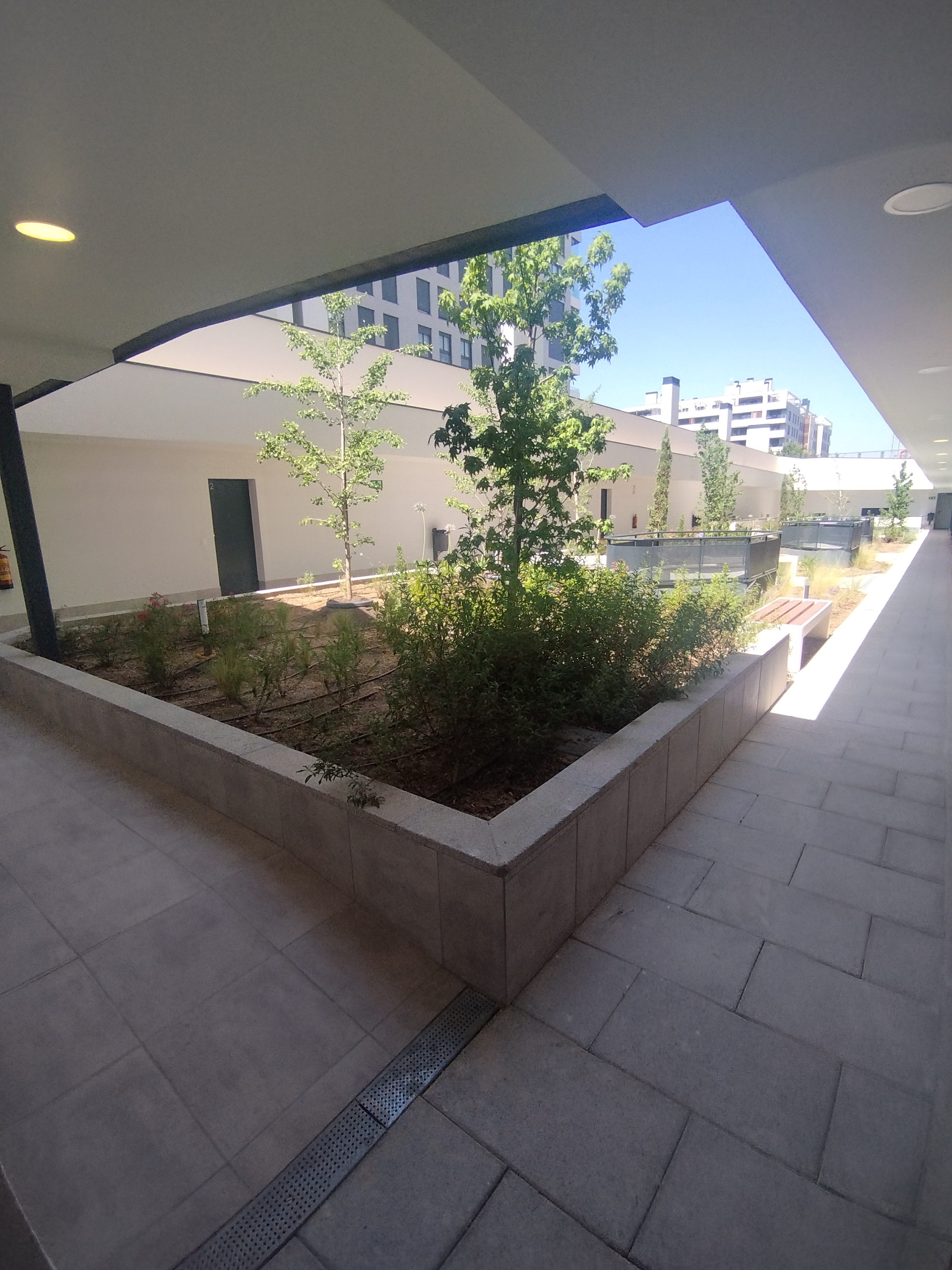 49755_tres cantos zzcc  (27).jpg